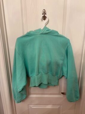 Aritzia Mint Green Cropped Hoodie Sweater
